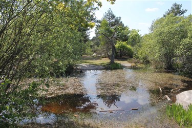 Mare de Franchard