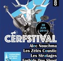 Affiche CERFESTIVAL 2018 à Villecerf