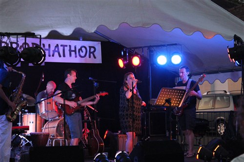 Le groupe La Pulse en concert à Villecerf.