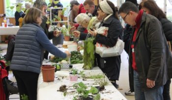 Le Troc aux plantes de Veneux, le rendez-vous des passionnés du jardin